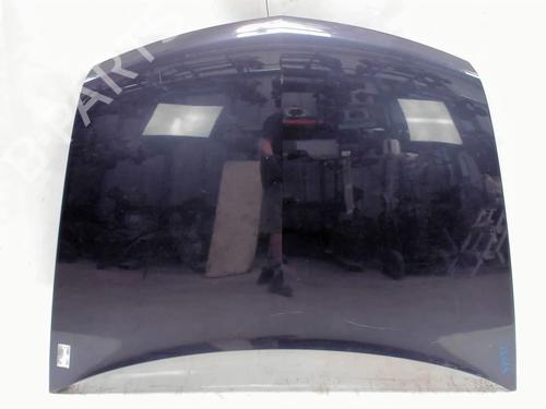 Used Hood RENAULT VEL SATIS (BJ0_) 2.0 dCi (BJ03, BJ0B) (173 hp) 20466650