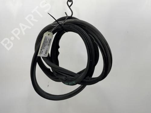 Used Rubber door seal RENAULT SCÉNIC II (JM0/1_) 1.9 dCi (125 hp) 20396689