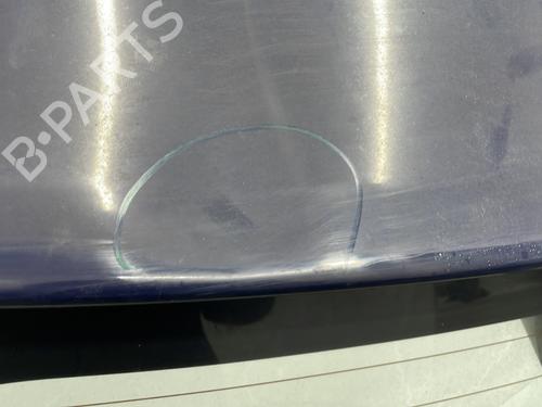 Tailgate DACIA SANDERO II 1.2 | BP30602908C6 