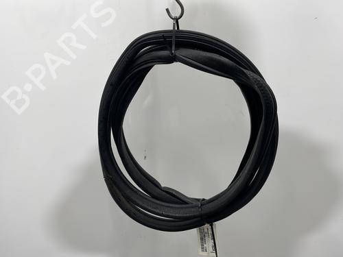 Used Rubber door seal FIAT LINEA (323_, 110_) 1.3 D Multijet (323AXB11, 323AXB1A) (90 hp) 30947564
