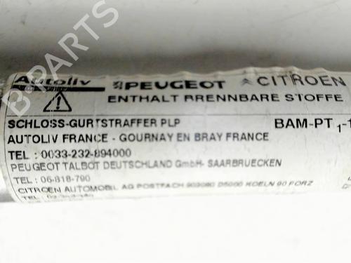 Front left belt tensioner CITROËN C3 Picasso (SH_) 1.6 HDI 90 | BP29625201C87 