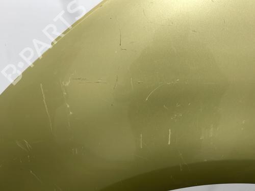 Left front fenders CITROËN C4 Picasso I MPV (UD_) 1.6 HDi | BP20424534C41 