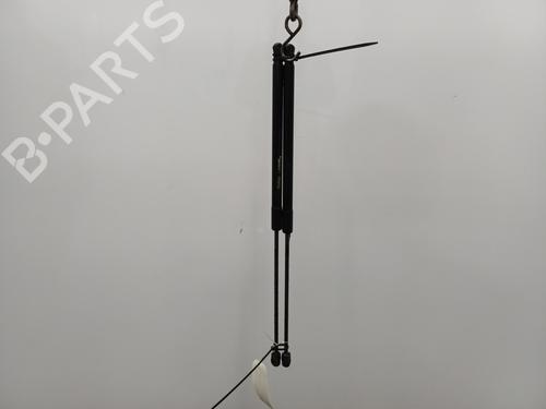 Used Tailgate lift support FORD FOCUS III 1.6 TDCi ECOnetic (105 hp) 22103946