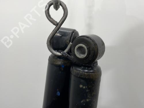 Right rear shock absorber FIAT PANDA (312_, 319_) 1.2 (312PXA1A) | BP29513917M19 