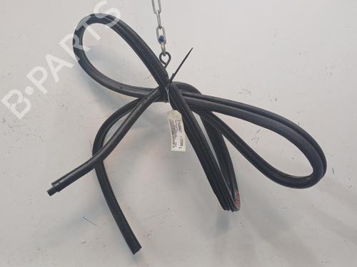 Gummilist RENAULT CLIO II (BB_, CB_) 1.5 dCi (B/CB08) | BP20468029C142