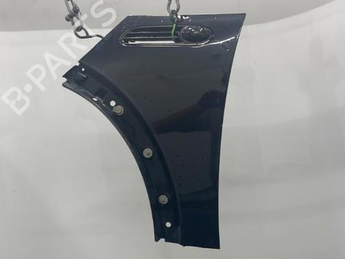 Left front fenders MINI MINI (R50, R53) Cooper | BP20388710C41 