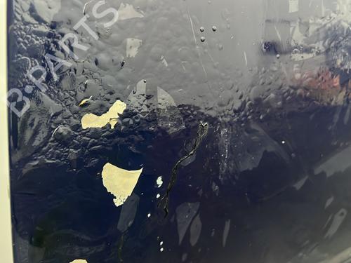 Left front door DACIA SANDERO II 1.2 | BP30602912C2