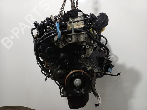 Engine FORD FOCUS III Saloon  | BP34458902M1  - Image 8