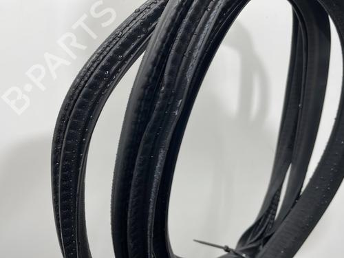 Rubber door seal MERCEDES-BENZ A-CLASS (W169) A 180 CDI (169.007, 169.307) | BP29760116C142 