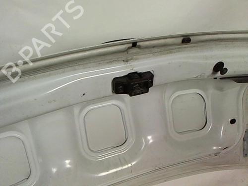 Tailgate RENAULT MEGANE I Classic (LA0/1_) 1.6 e (LA0F, LA0S) | BP20434729C6 