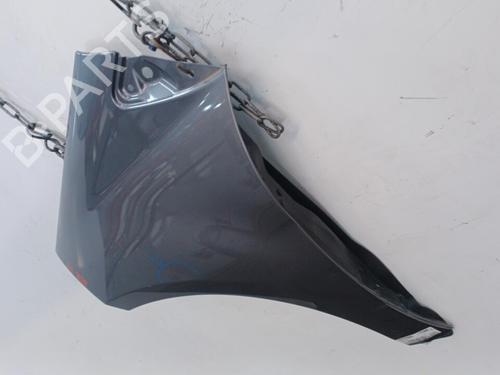 Left front fenders MERCEDES-BENZ A-CLASS (W169) A 180 CDI (169.007, 169.307) | BP22102710C41 