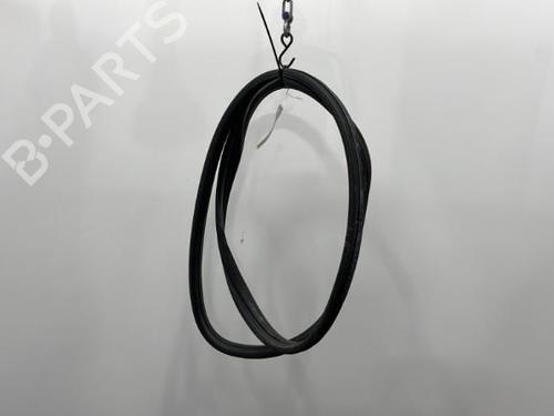 Used Rubber door seal RENAULT CLIO III (BR0/1, CR0/1) 1.5 dCi (C/BR0G, C/BR1G) (68 hp) 20390003