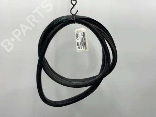 Used Rubber door seal RENAULT MEGANE III Hatchback (BZ0/1_, B3_) 1.5 dCi (86 hp) 20396664