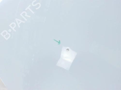 Hood RENAULT RAPID Box Body/MPV (F40_, G40_) 1.6 D (F404) | BP20472125C1