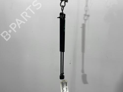 tailgate-lift-support-renault-clio-ii-bb_-cb_-1998-1999-2000-2001-2002-2003-2004-2005-2006-2007-2008-2009-2010-2011-2012-2013-2014-2015-2016-32220219 main image