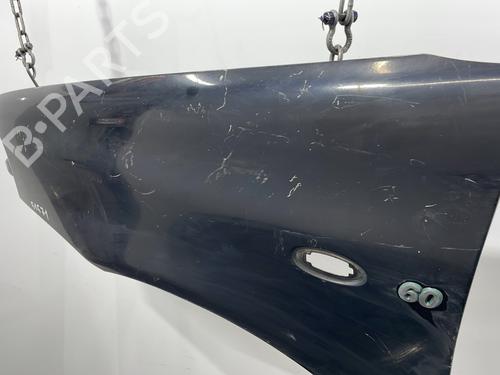Left front fenders FIAT PUNTO (176_) 60 1.2 | BP21234139C41 