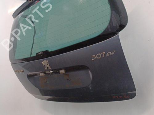 Tailgate PEUGEOT 307 Break (3E) 1.6 HDi 110 | BP20427650C6 
