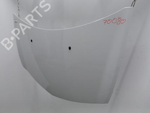 Hood RENAULT CLIO III (BR0/1, CR0/1) 1.5 dCi (C/BR0G, C/BR1G) | BP20465289C1 