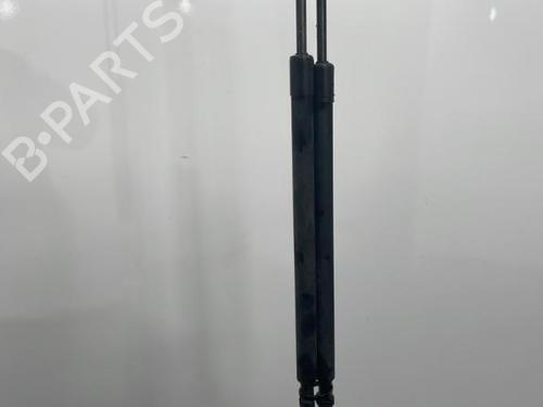 Used Tailgate lift support NISSAN X-TRAIL I (T30) 2.2 dCi 4x4 (136 hp) 20390211