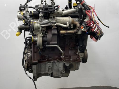 Engine DACIA SANDERO 1.5 dCi | BP33687858M1  - Image 10