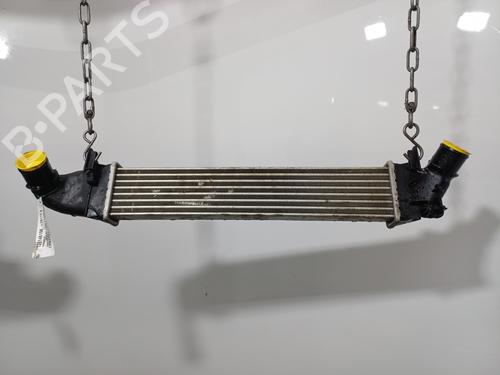 Intercooler DACIA LOGAN MCV (KS_) 1.5 dCi (KS0K) | BP35969750M30 - Image 2