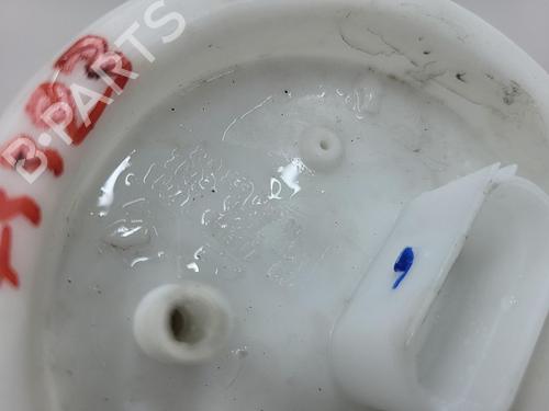 Fuel pump SEAT ALHAMBRA (7V8, 7V9) 2.0 i | BP20610099M76 