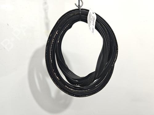 Used Rubber door seal Rubber door seal FORD FOCUS IV (HN) 1.5 EcoBoost (150 hp) 40280247 40280247