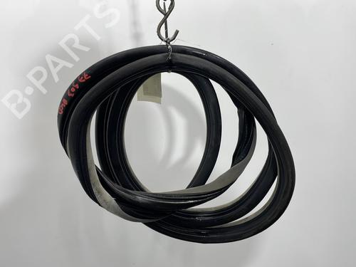 Gummiliste RENAULT ESPACE IV (JK0/1_) 2.0 dCi (JK01, JK02, JK1J, JK1K, JK1H) (150 hp) 31631314