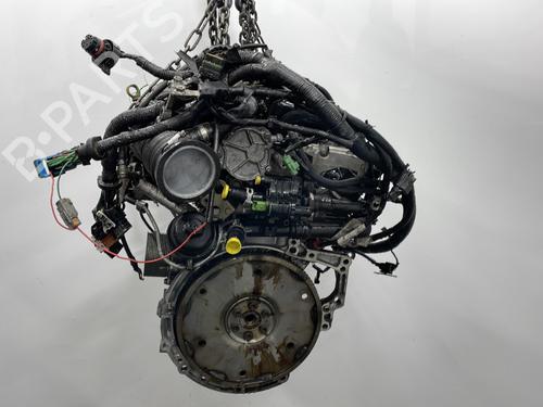 Engine FORD FOCUS C-MAX (DM2) 1.6 TDCi | BP29625303M1 