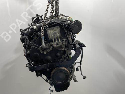 Engine FORD FIESTA VI (CB1, CCN) 1.6 TDCi | BP30822524M1