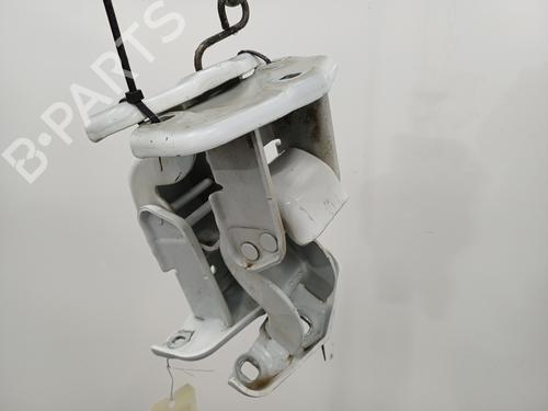 Hinge/Door check strap RENAULT TRAFIC III Van (FG_) 1.6 dCi 125 (FGMH) | BP21565438C146
