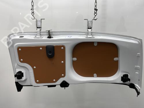 Right tailgate RENAULT KANGOO Express (FW0/1_) 1.5 dCi 95 (FW16) | BP29545167C77 