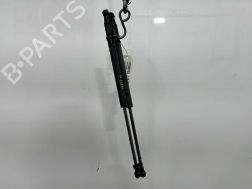 Used Tailgate lift support FIAT PANDA (312_, 319_) 1.2 (312PXA1A) (69 hp) 29491121