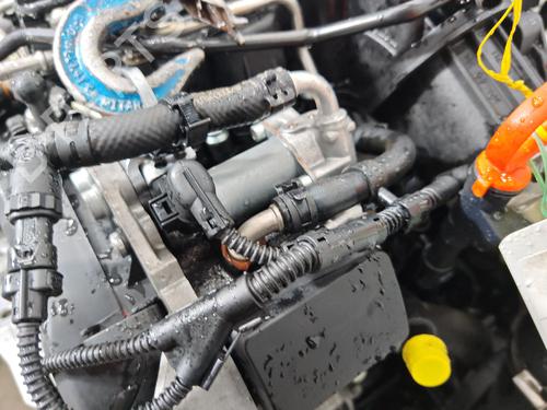 Engine VW GOLF VI (5K1) 1.6 TDI | BP40224795M1 - Image 4