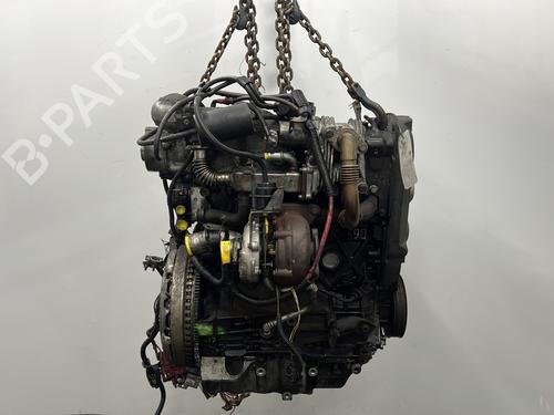 Engine RENAULT GRAND SCÉNIC II (JM0/1_) 1.9 dCi (JM0G, JM12, JM1G, JM2C) | BP32273756M1 