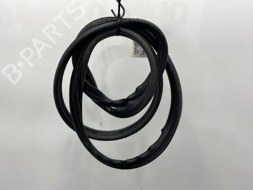 Used Rubber door seal RENAULT SCÉNIC II (JM0/1_) 1.9 dCi (JM14) (131 hp) 20439259