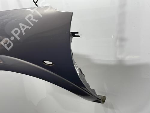 Left front fenders CITROËN C3 I (FC_, FN_) 1.4 i | BP24508310C41 