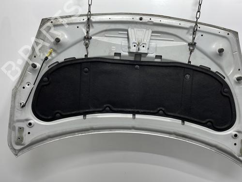 Hood HYUNDAI i20 I (PB, PBT) 1.4 CRDi | BP30941366C1