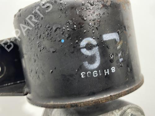 Gearbox mount CHEVROLET AVEO / KALOS Hatchback (T250, T255) 1.2 LPG | BP30115576M88 