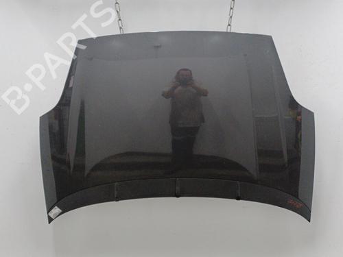 Used Hood FIAT PUNTO EVO (199_) 1.3 D Multijet (199AXC1A, 199BXC1A, 199AXT1A, 199BXT1A) (75 hp) 20423863