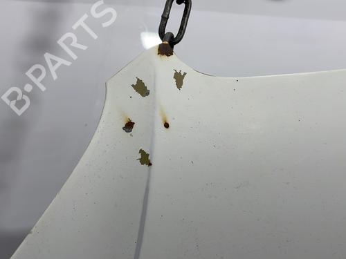 Hood FIAT DOBLO Box Body/MPV (223_) 1.3 D Multijet | BP25149190C1 