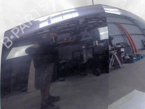 Hood RENAULT VEL SATIS (BJ0_) 2.0 dCi (BJ03, BJ0B) | BP20466650C1 