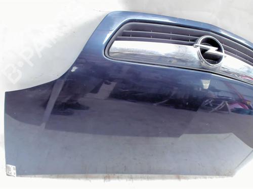 Used Hood Hood 20415785 20415785