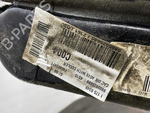 Other DS DS 3 (SA_) 1.6 BlueHDi 116 (SABHXM) | BP31602582O1