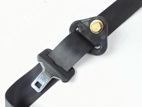 Rear left belt tensioner RENAULT AVANTIME (DE0_) 3.0 V6 (DE04, DE0T) | BP25265580C89 