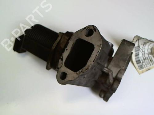 Egr FIAT PUNTO (188_) 1.3 JTD 16V | BP20456691M69