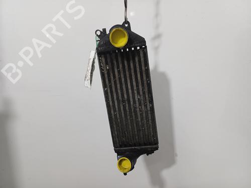 Used Intercooler Intercooler 36900303 36900303