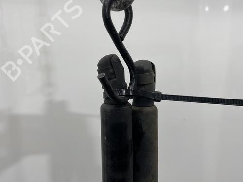 Tailgate lift support FORD S-MAX (WA6) 2.0 TDCi | BP26532453C138 