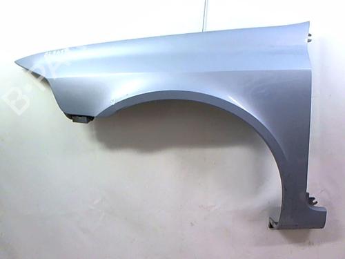 Left front fenders RENAULT LAGUNA II Grandtour (KG0/1_) 1.9 dCi (KG0G) | BP20425873C41 