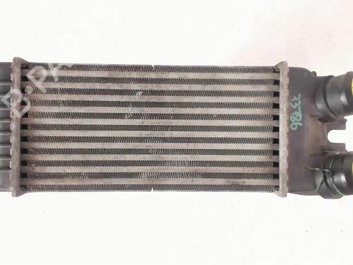 Intercooler CITROËN XSARA PICASSO (N68) 1.6 HDi | BP20417166M30 